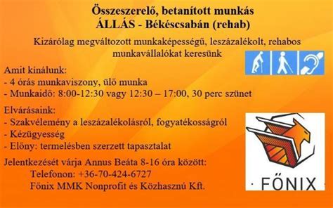 békéscsaba munka állás